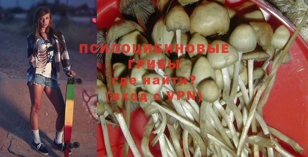 хмурый Алексеевка