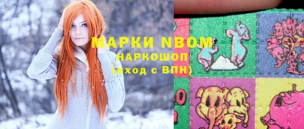 хмурый Алексеевка