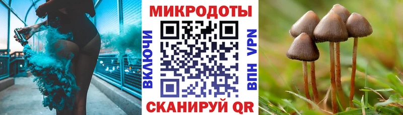 Псилоцибиновые грибы GOLDEN TEACHER Магадан